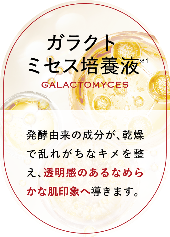 ガラクトミセス培養液