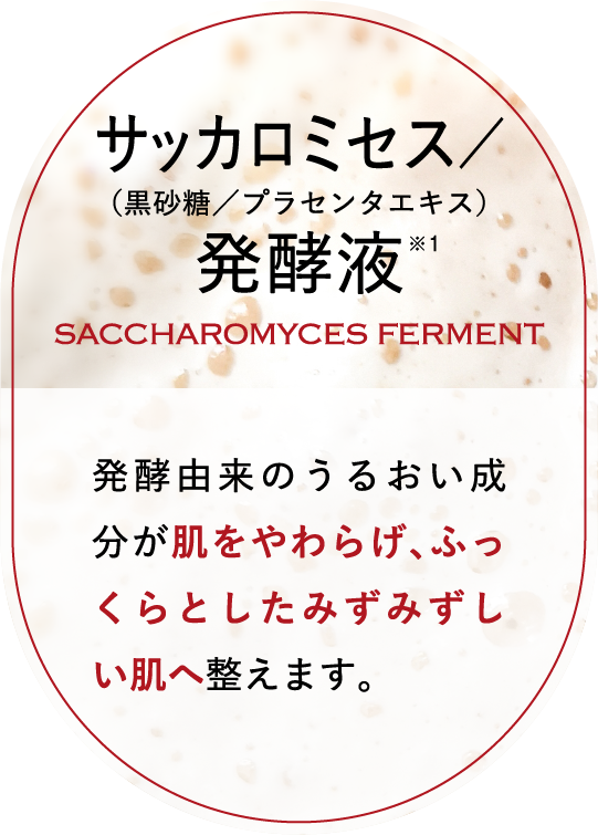 サッカロミセス/発酵液