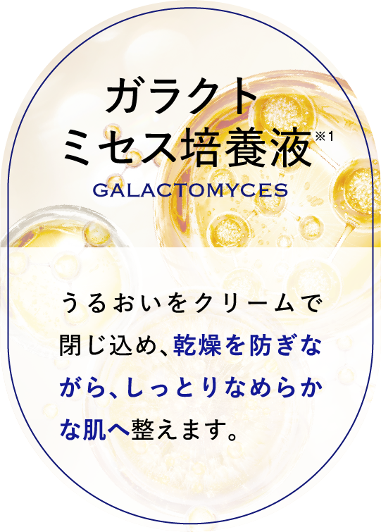 ガラクトミセス培養液