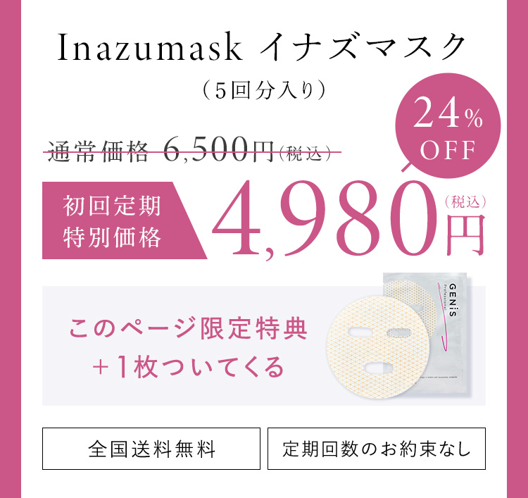 Inazumask イナズマスク