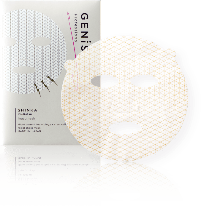 Inazumaskのイメージ