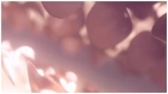 エクソソームイメージLP