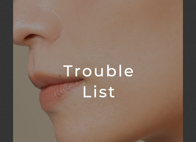 Trouble List
