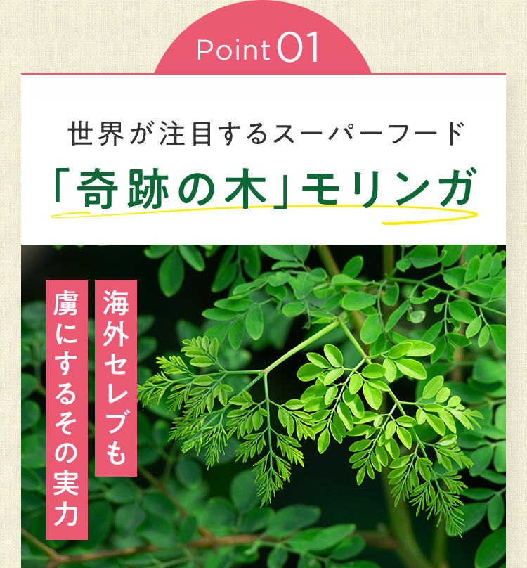 POINT01 奇跡の木モリンガ