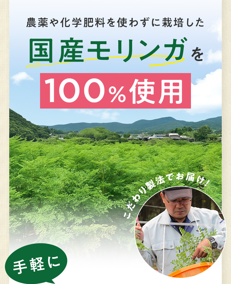 国産モリンガを100%使用