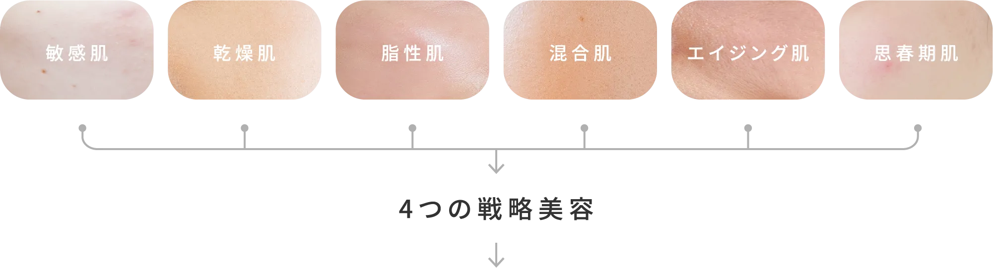 敏感肌・乾燥肌・脂性肌・混合肌・エイジング肌・妊娠期肌の肌タイプ別スキンケア