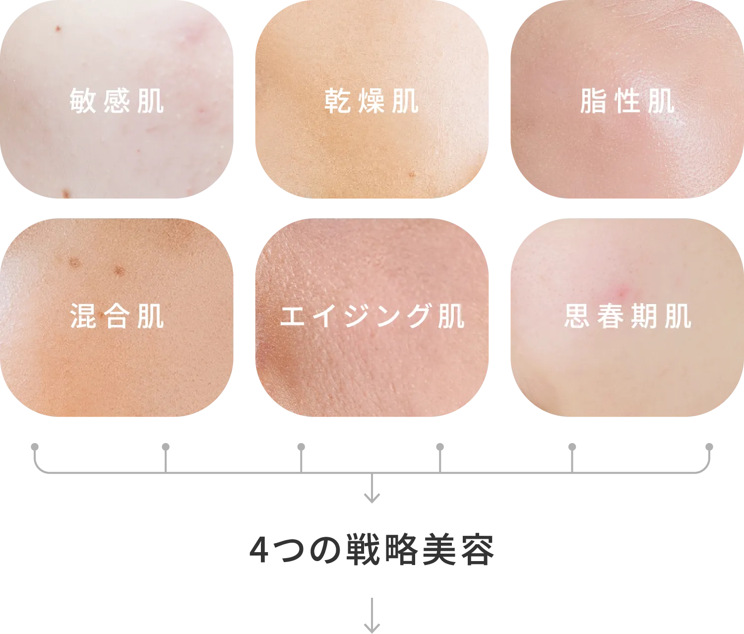 敏感肌・乾燥肌・脂性肌・混合肌・エイジング肌・妊娠期肌の肌タイプ別スキンケア