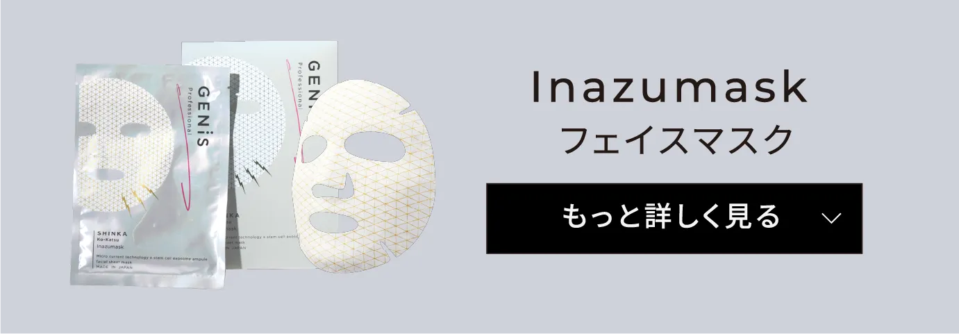 Inazumask