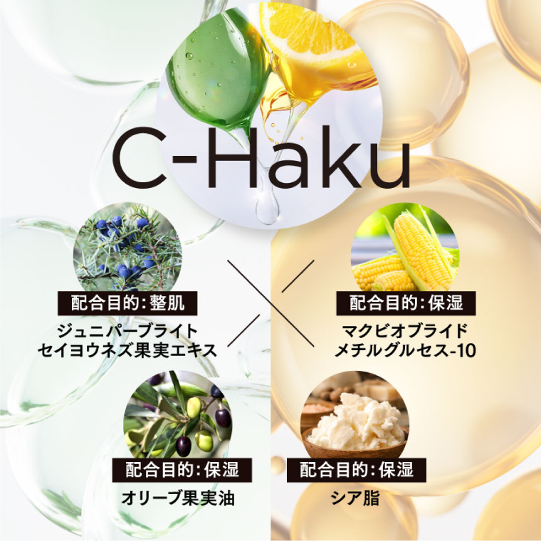 ヒカリシリーズ2