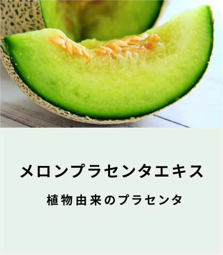 メロンプラセンタエキス 植物由来のプラセンタ（表面）