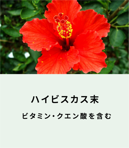 ハイビスカス末 ビタミン・クエン酸を含む（表面）