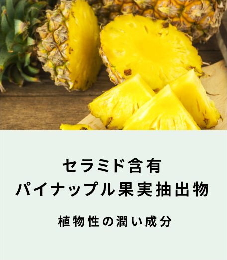 セラミド含有パイナップル果実抽出物 植物性の潤い成分（表面）