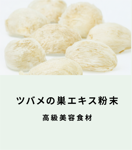 ツバメの巣エキス粉末 高級美容食材（表面）