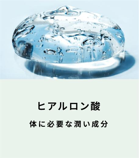 ヒアルロン酸 体に必要な潤い成分（表面）