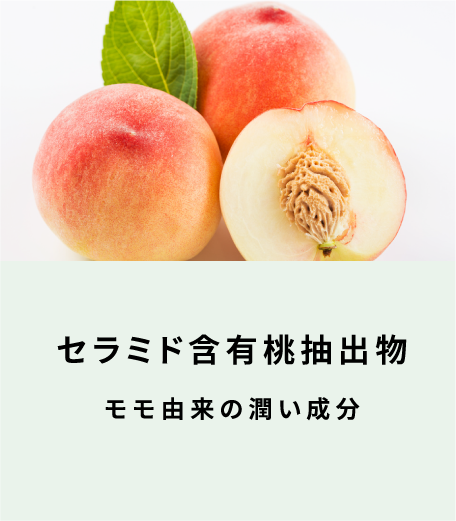 セラミド含有桃抽出物 モモ由来の潤い成分（表面）