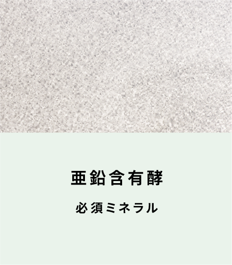 亜鉛含有酵母 必須ミネラル（表面）