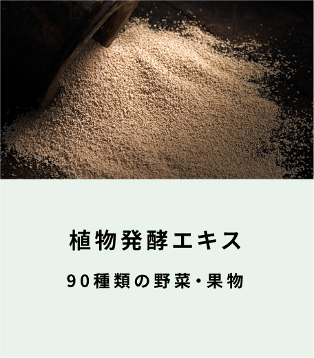 植物発酵エキス 8種類の野菜・果物（表面）