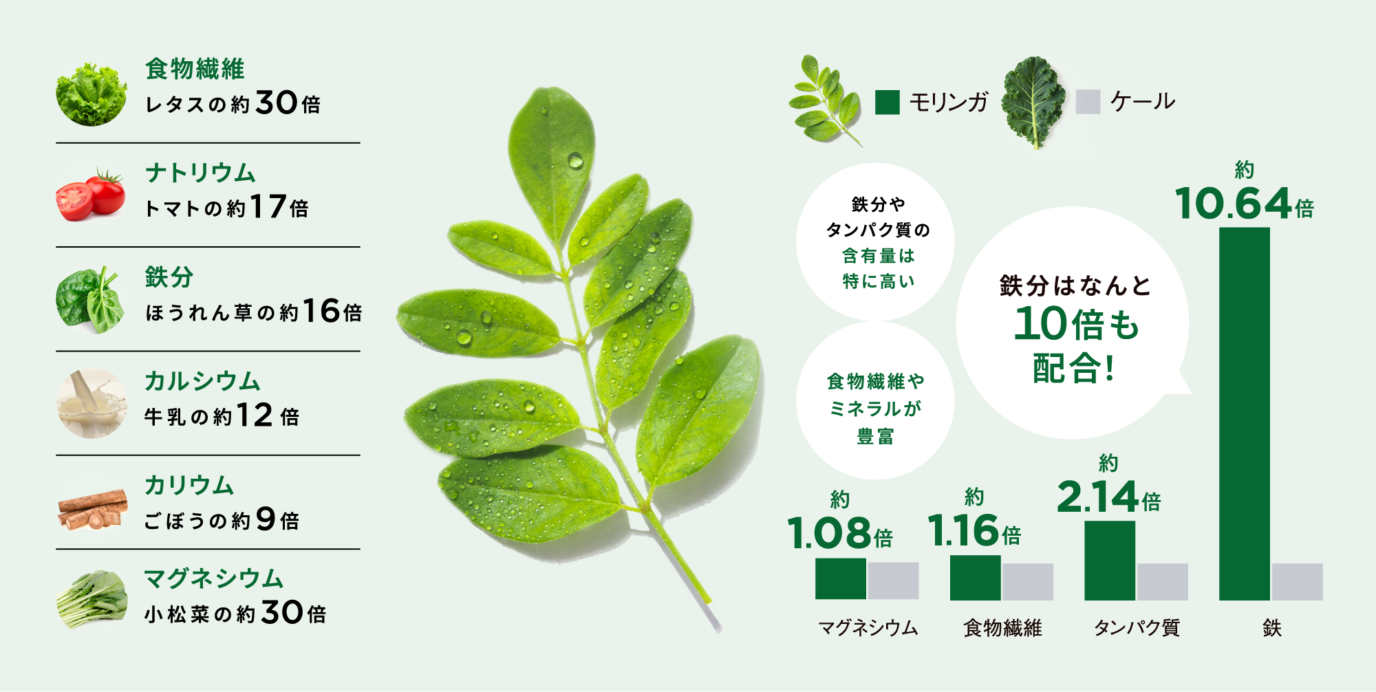 驚きの栄養素スーパーフード モリンガ100%