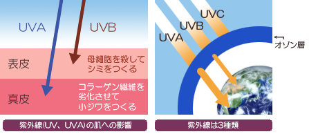 紫外線の種類の説明図