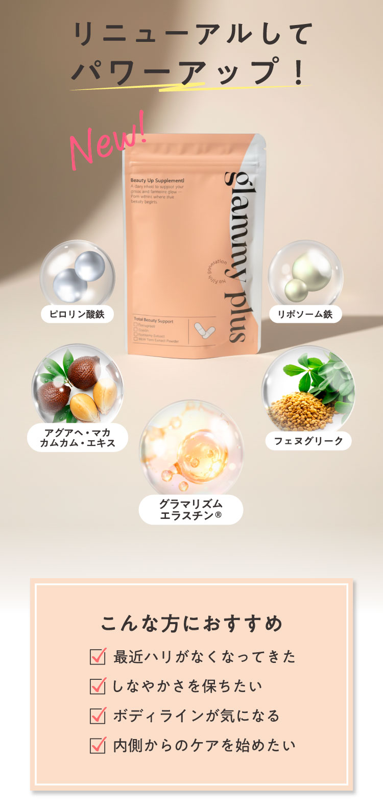 リニューアルしてパワーアップ！