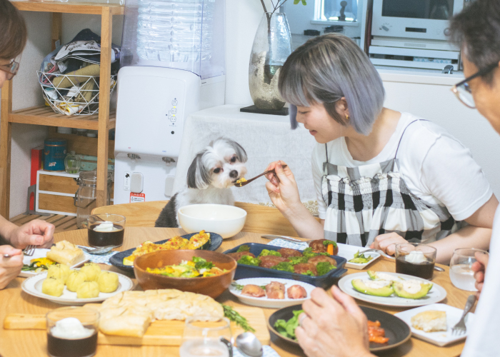 Peton(ペトン)を食べているワンちゃんと、その様子を見ているご家族02
