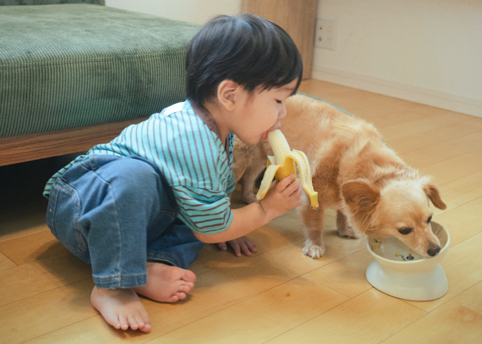 Peton(ペトン)を食べているワンちゃんと、その様子を見ているご家族03