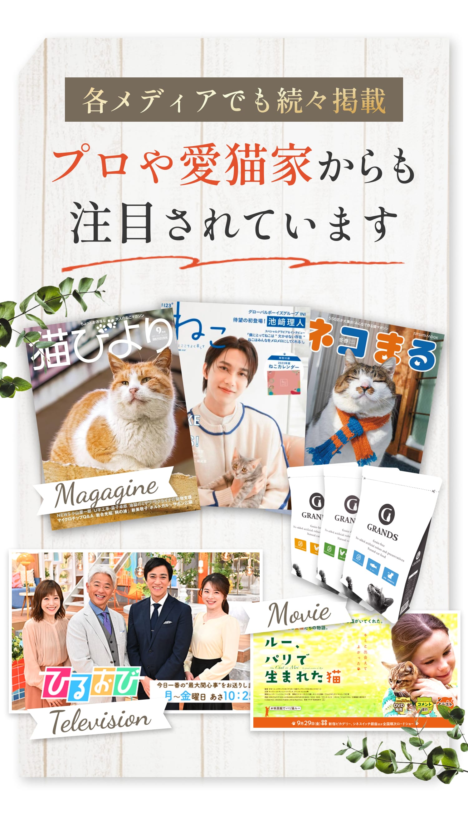 プロや愛猫家からも注目されています