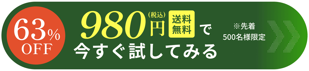 ごちそう定期便初回限定980円