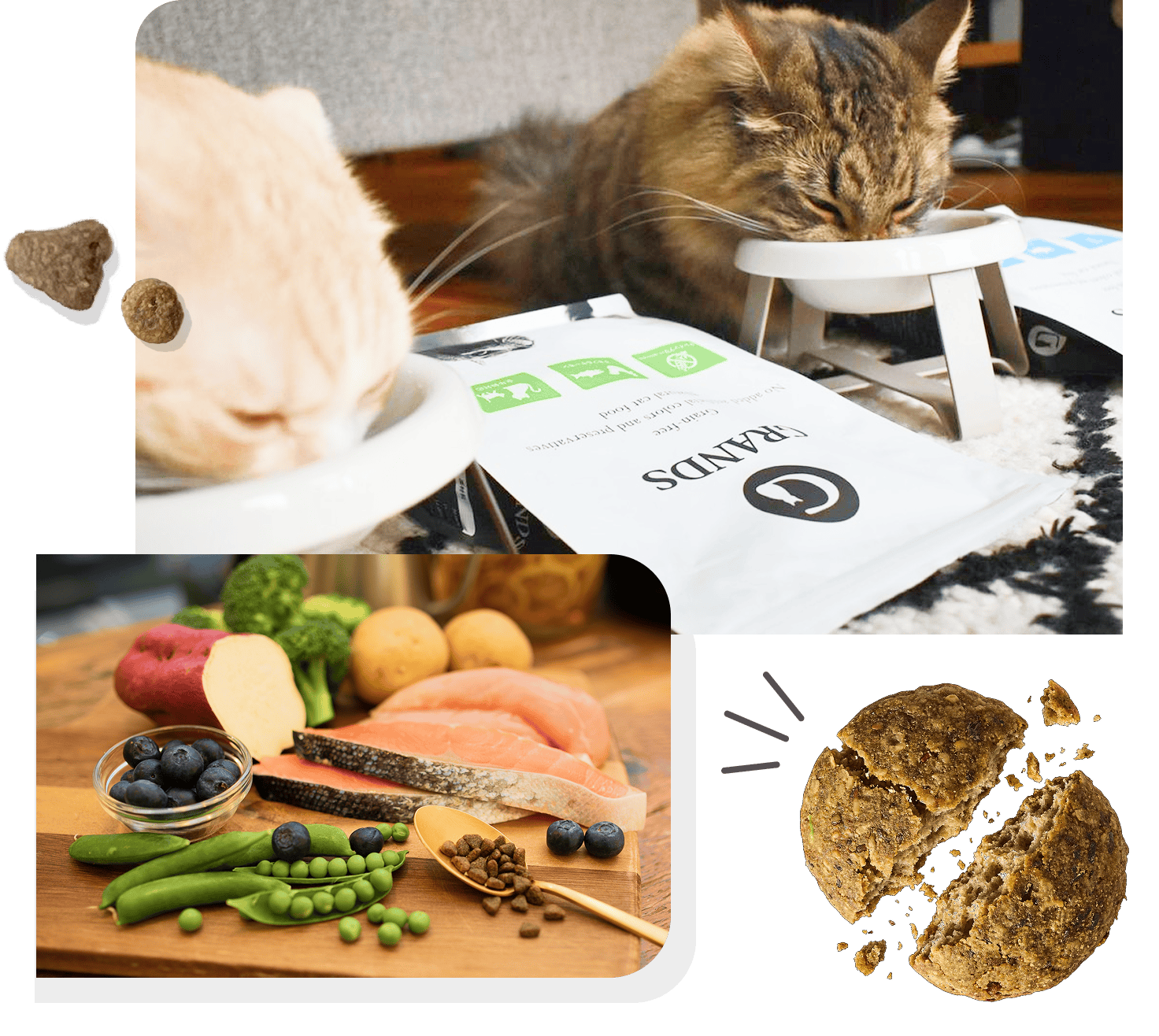厳選素材を使用したGRANDS（グランツ）キャットフードを食べる猫たち