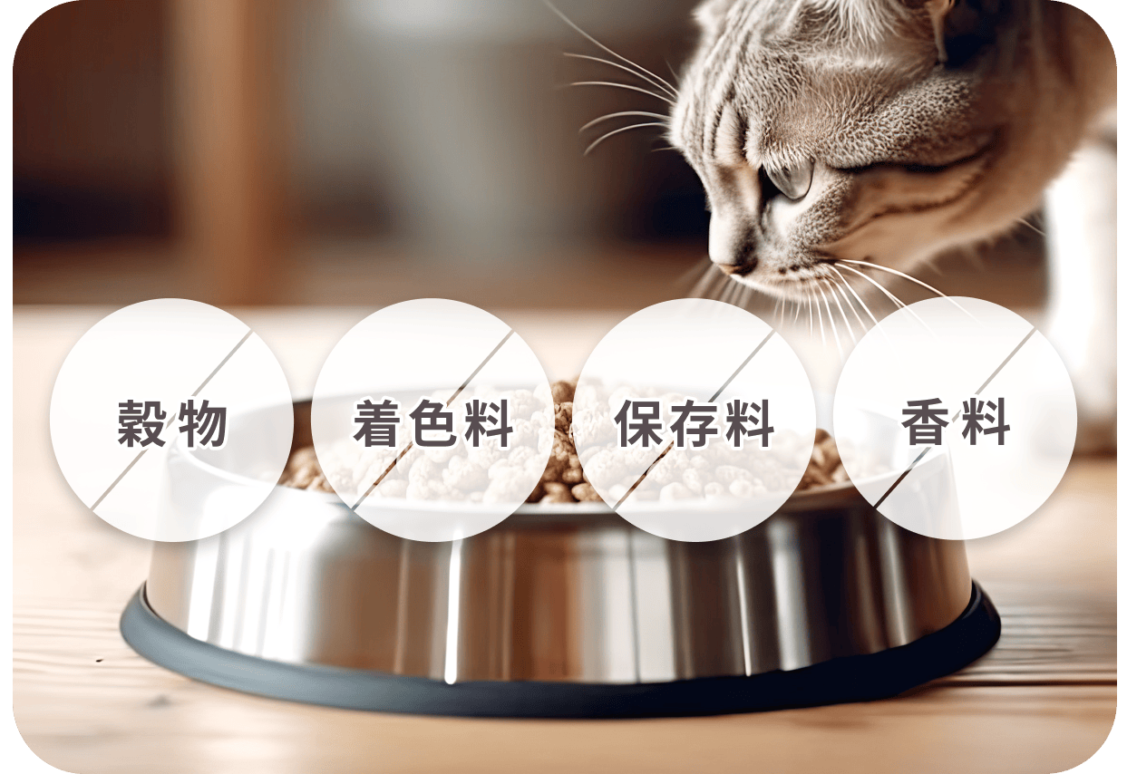 穀物・人工添加物不使用のGRANDS（グランツ）プレミアムキャットフード