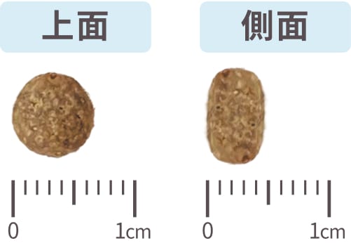 粒サイズ 上面・側面
