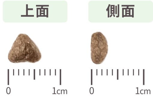 粒サイズ 上面・側面