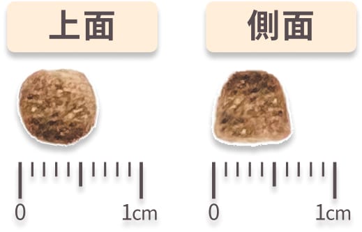 粒サイズ 上面・側面