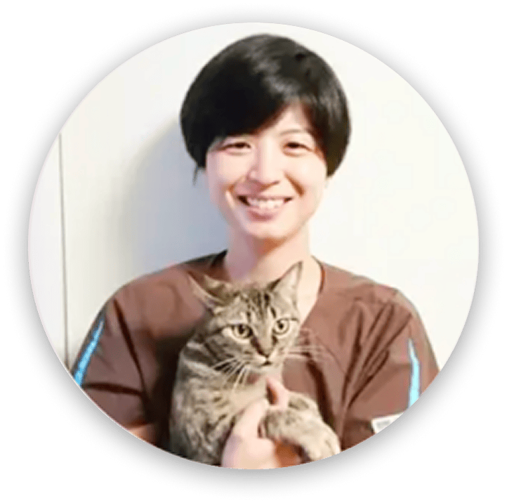 GRANDS（グランツの）獣医師と猫