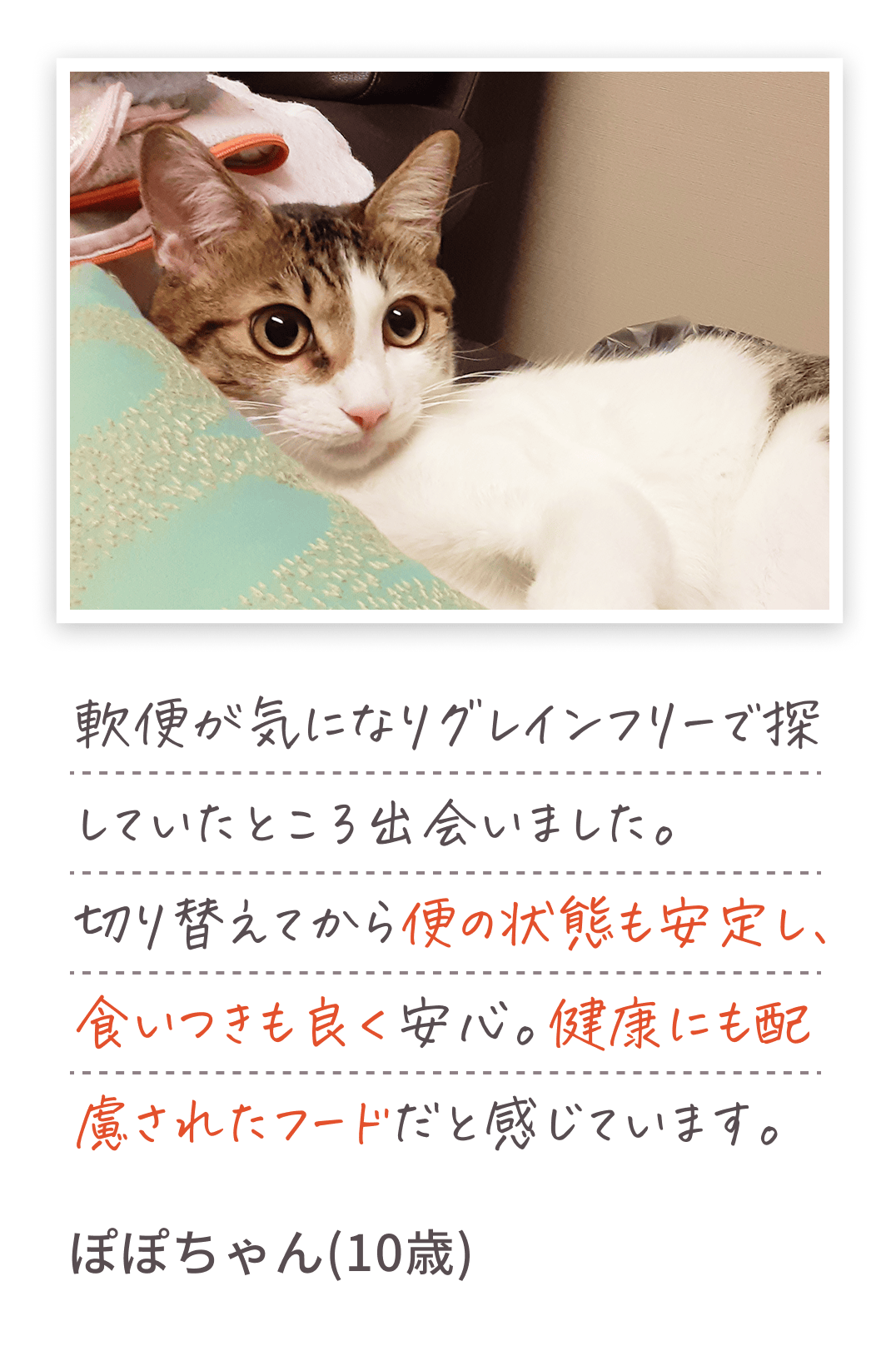 軟便が気になりグレインフリーで探していたところ出会いました。切り替えてから便の状態も安定し、食いつきも良く安心。健康にも配慮されたフードだと感じています。