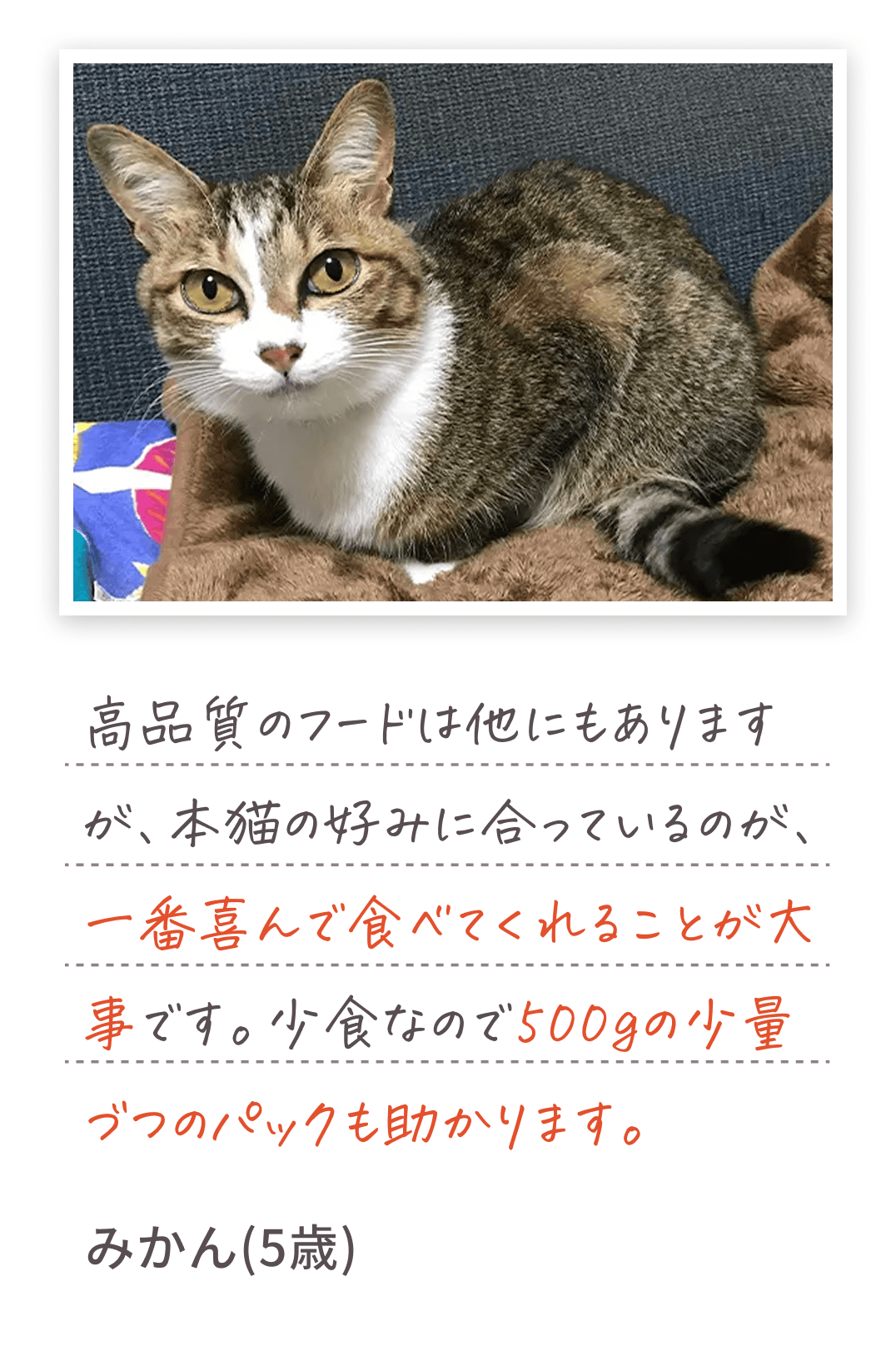 高品質のフードは他にもありますが、本猫の好みに合っているのが、一番喜んで食べてくれることが大事です。少食なので500gの少量づつのパックも助かります。