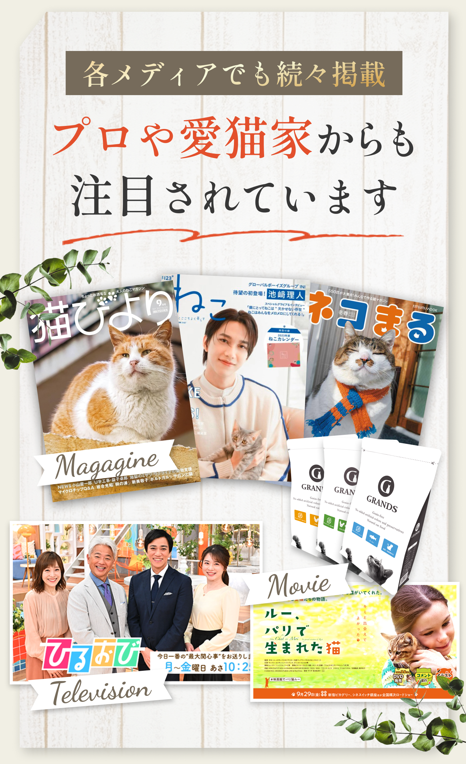プロや愛猫家からも注目されています