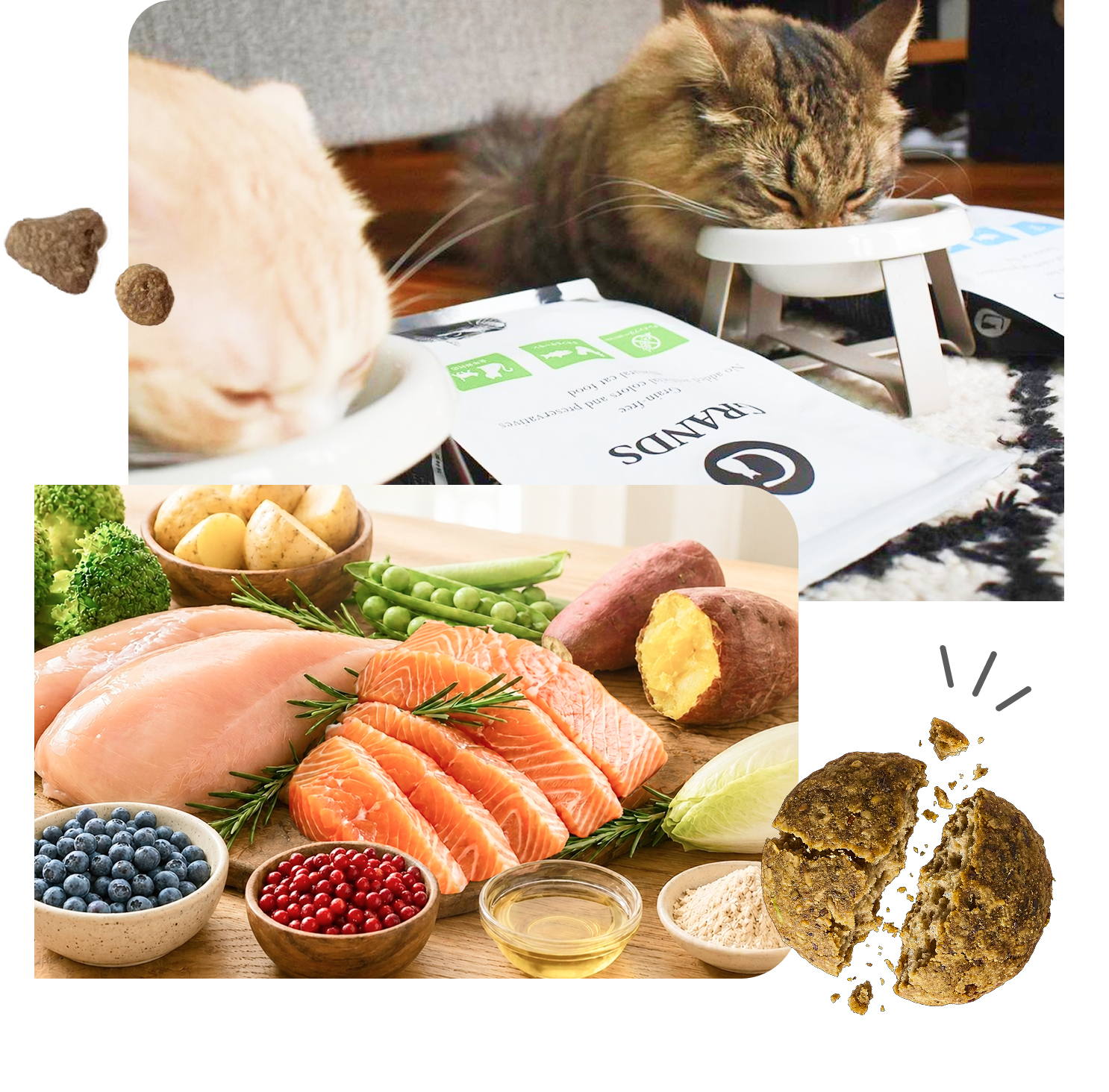 厳選素材を使用したGRANDS（グランツ）キャットフードを食べる猫たち