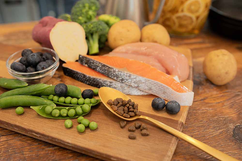 関連記事「人工添加物不使用のドッグフードは、なぜ安心？」のサムネイル