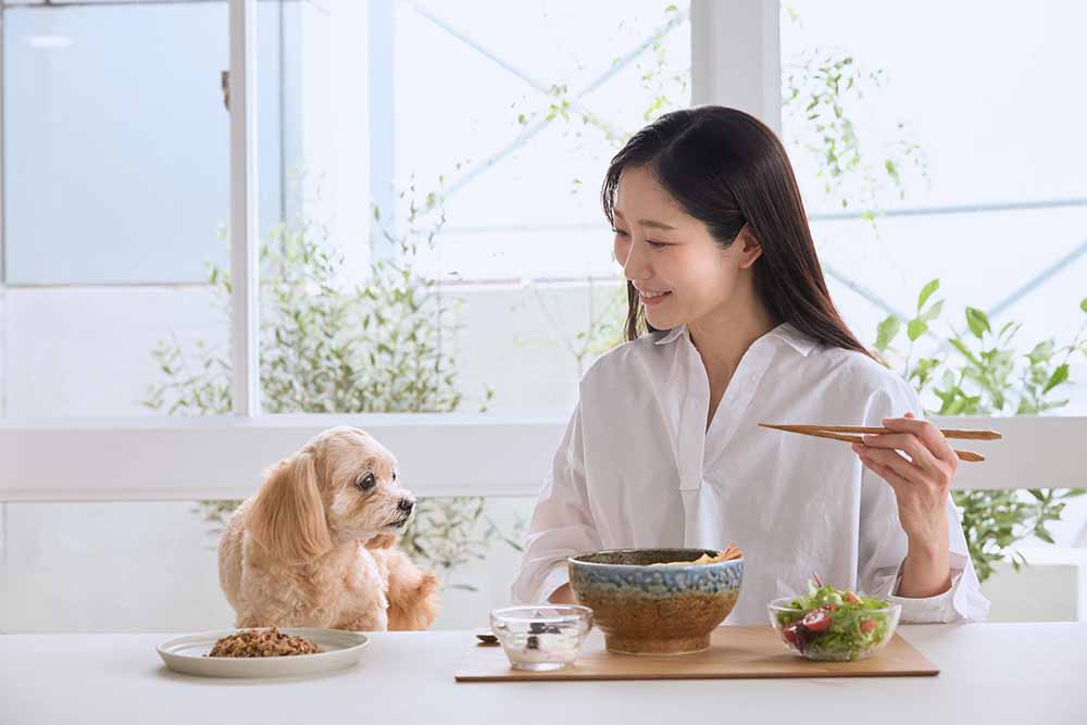 飼い主の食事のそばで、自分のごはんを待っている愛犬
