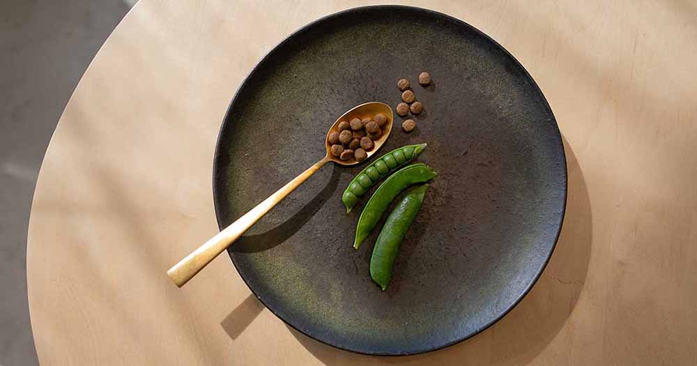 黒いお皿に盛り付けられたドッグフードと新鮮なグリーンピース