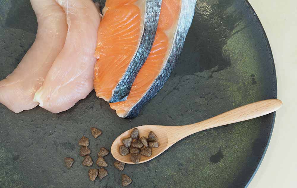 ドッグフードの豊かな栄養源となる、新鮮な生の鶏肉とサーモン