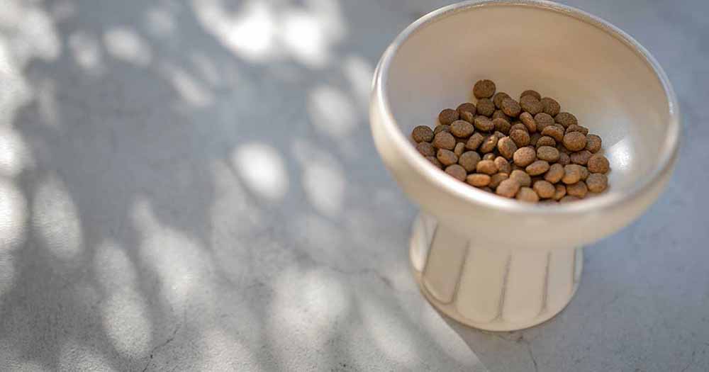 人工添加物や着色料を不使用ゆえに粒の色や形に自然なばらつきがある、器に盛られたGRANDS（グランツ）のドッグフード