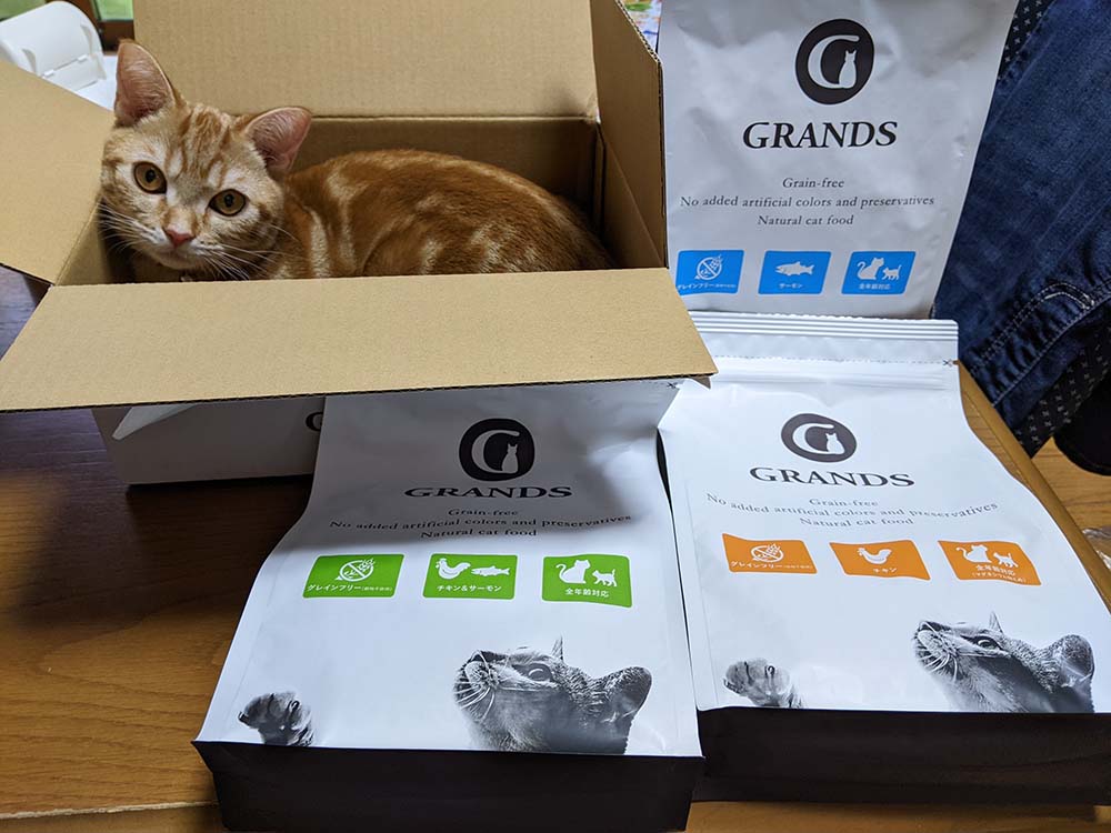GRANDS（グランツ）のキャットフードのパッケージに囲まれて、お気に入りの段ボール箱の中に入ってくつろぐ猫のふうちゃん