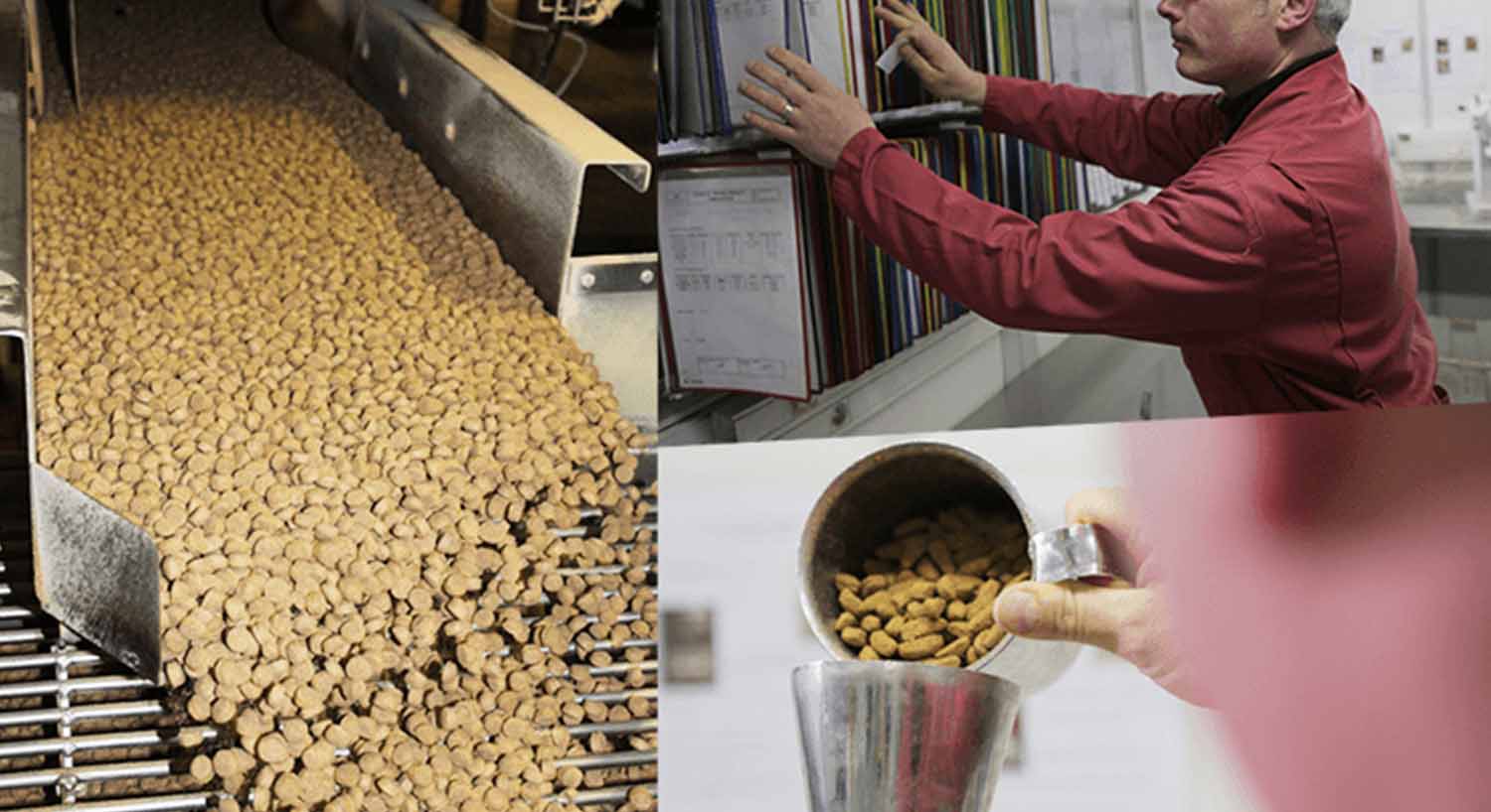 グランツが製造されているフランスの工場のイメージ。製造や工程などがしっかり管理されている。