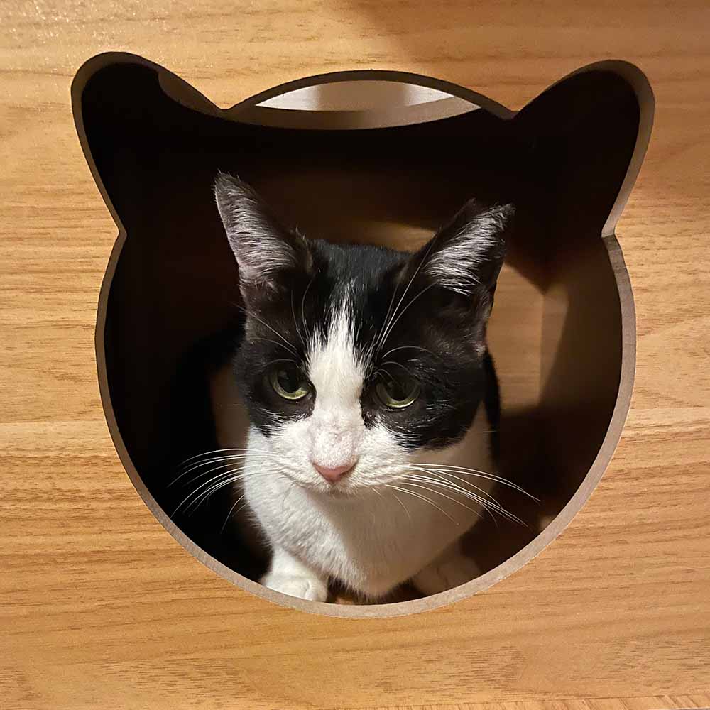 キャットタワーの中央にある、猫の形にくり抜かれた穴のある部分から顔を覗かせる、黒と白の模様の猫のユキちゃんの様子