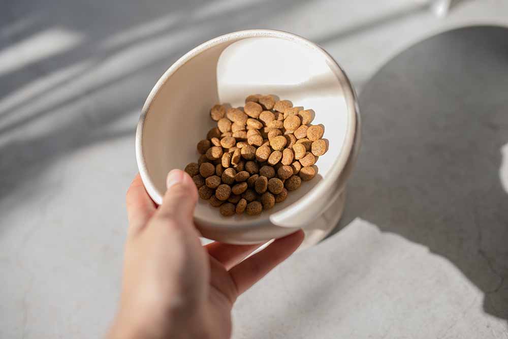 白いボウルに入った、小粒のドライドッグフードを手に持っている様子