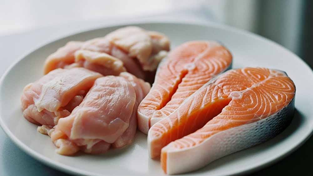 白い皿に並べられた、生の鶏肉の塊と2切れの生サーモン。グランツのドッグフードで使用されている原材料のイメージ