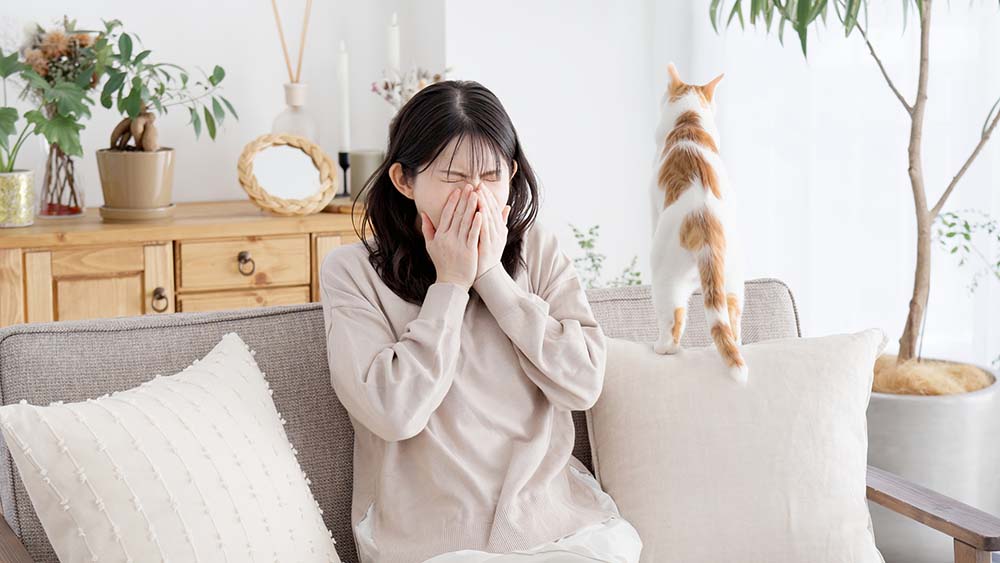 室内で猫の横でくしゃみをする女性。身近な健康問題としての犬猫アレルギー。