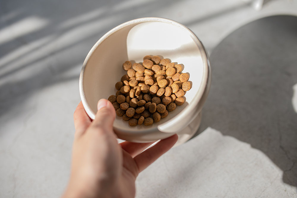 猫用フードが入った器を持つ人間の手。唾液中のFel d 1を中和する新しいアプローチのフード研究。